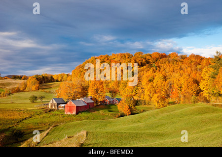 La Fattoria di Jenne all'alba autunnale nei pressi di South Woodstock Vermont - USA Foto Stock