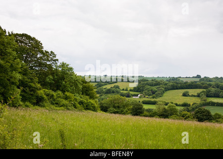 Campagna inglese e Vicino Oriente Meon, Hampshire Foto Stock