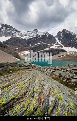 Lago Oesa, Monte Lefroy, Lago O'Hara, Parco Nazionale di Yoho, British Columbia, Canada Foto Stock