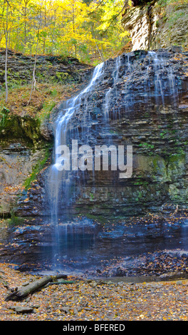 Tiffany cade, Bruce Trail, Scarpata del Niagara, Hamilton, Ontario, Canada Foto Stock