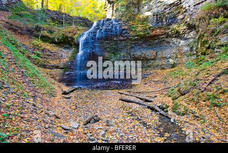 Tiffany cade, Bruce Trail, Scarpata del Niagara, Hamilton, Ontario, Canada Foto Stock