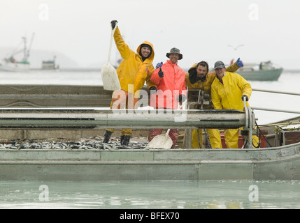 Felice pescatore segnale un buon insieme con un pieno carico di aringhe nel loro skiff off di Hornby isola. Courtenay Comox Valley Vanco Foto Stock