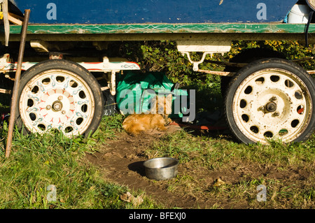 Viaggiatori' accampamento vicino a Ledbury Foto Stock