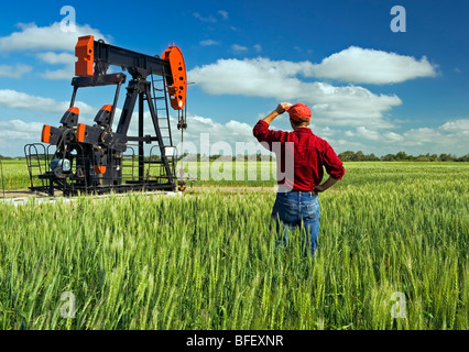 Un uomo si affaccia su di un campo di grano con un olio pumpjack in background, vicino Sinclair, Manitoba, Canada Foto Stock