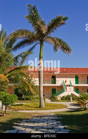 Resort caraibico edifici e le palme in primo piano Foto Stock