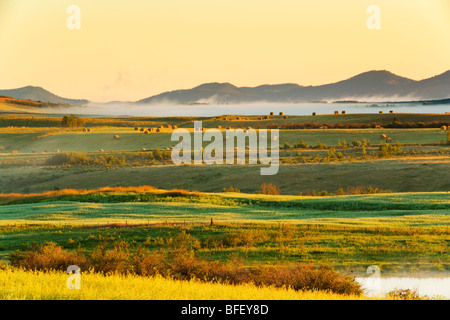 Nebbia di mattina il sollevamento su terreni agricoli, Cochrane, Alberta, Canada, agricoltura, fieno Foto Stock