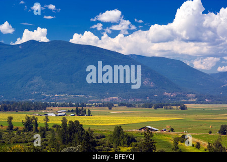 Le aziende agricole in fertili Creston Valley, British Columbia, Canada, agricoltura Foto Stock