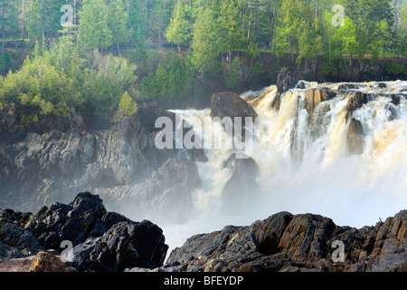 Grand Falls Gorge, New Brunswick, Canada, cascata, molla Foto Stock