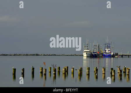 Tre navi da pesca ormeggiate a Steveston,BC. Tagliare il legno tralicci in primo piano con gabbiani su di essi. Foto Stock