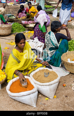 Donna vendita di spezie indiane al mercato in Puttaparthi, Andhra Pradesh, India Foto Stock