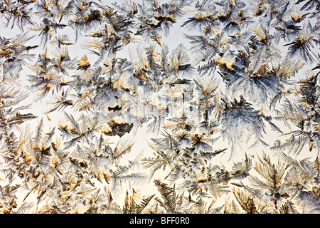 Frost pattern a sunrise Foto Stock