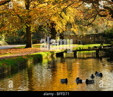 Giorno d'autunno con un uomo che cammina il suo cane accanto al fiume Windrush a Lower Slaughter, Gloucestershire, Inghilterra, Regno Unito Cotswolds Foto Stock