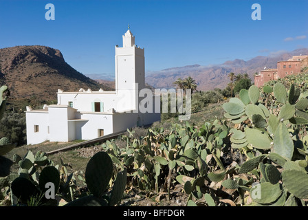 Moschea in emintizght, un villaggio berbero in anti Atlas Mountains, Marocco Foto Stock