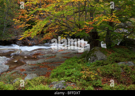 Salenques Valley, il Parco Naturale di Posets-Maladeta, Huesca, Spagna Foto Stock