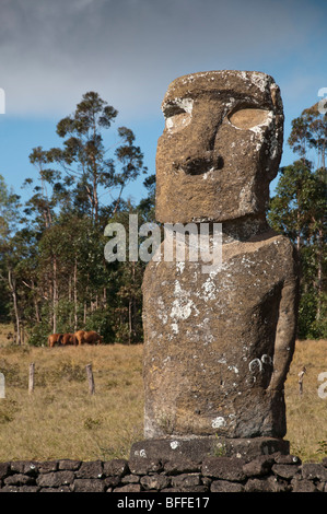 Isola di Pasqua Moai statue a Ahu Akivi sito. Foto Stock