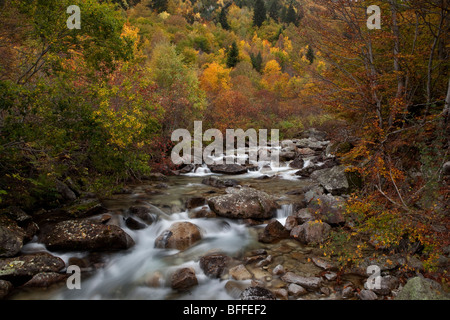 Salenques Valley, il Parco Naturale di Posets-Maladeta, Huesca, Spagna Foto Stock