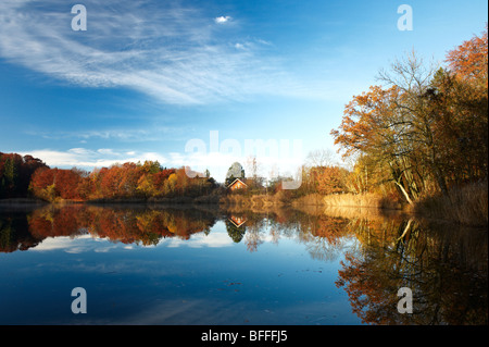 Moorsee bei Widdersberg, Herrsching am Ammersee, Oberbayern, Deutschland Foto Stock