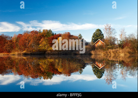 Moorsee bei Widdersberg, Herrsching am Ammersee, Oberbayern, Deutschland Foto Stock