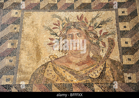 Pavimento a mosaico, casa di Dioysus, Kato Pafos parco archeologico, Pafos, Distretto di Paphos, Cipro Foto Stock