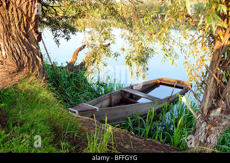 Affondata woden vecchia barca in estate il lago Foto Stock