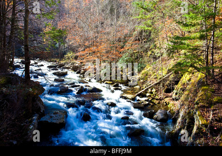 Polo Centrale piccolo fiume, Great Smoky Mountains National Park, Tennessee Foto Stock