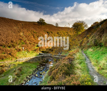 Derbyshire Bridge nel Goyt Valley, il Parco Nazionale di Peak District, Derbyshire, England, Regno Unito Foto Stock