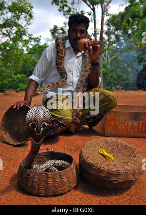 Il serpente Incantatore, Sri Lanka Sri Lanka incantatore di serpente Foto Stock