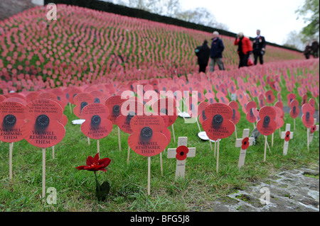 Migliaia di papaveri di carta sul giorno del ricordo a Ypres ora chiamato lebbroso nelle Fiandre Belgio Foto Stock