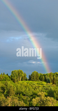 Rainbow oltre a Calgary, Alberta, Canada Foto Stock