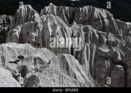 Sjeverni Velebit parco nazionale Foto Stock