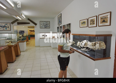 Il Museo del Mar, Boca del Rio, Isla Margarita, Nueva Esparta, Venezuela Foto Stock