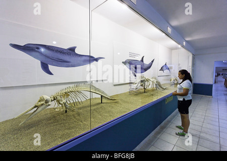 Il Museo del Mar, Boca del Rio, Isla Margarita, Nueva Esparta, Venezuela Foto Stock