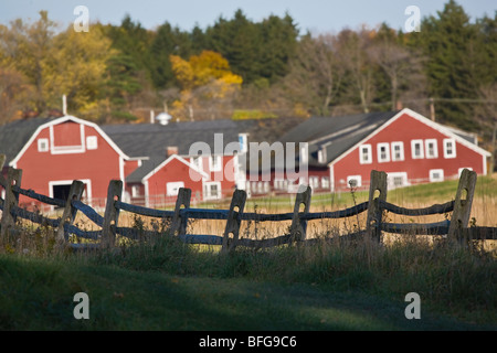 Red fienili a Knox agriturismo Parco dello Stato in East Aurora New York Foto Stock