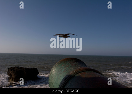 La vista dal Bastione del Skala de la Ville, una settecentesca bastione del mare a Essaouira, sulla costa atlantica del Marocco Foto Stock