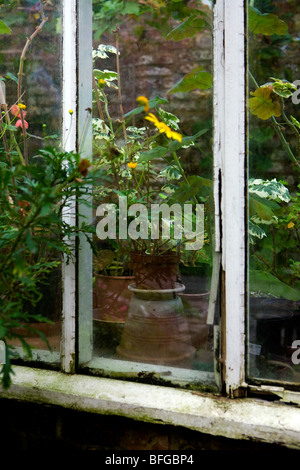 Il giardino del sacerdote House Museum in High Street, Wimborne, Dorset, Inghilterra Foto Stock