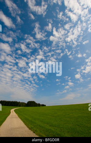 La Baviera, Germania, sentiero escursionistico lungo il Re Ludwig modo Foto Stock