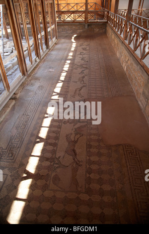 Tetto di protezione e passerelle elevate intorno i mosaici sul pavimento della casa di dionysos Foto Stock