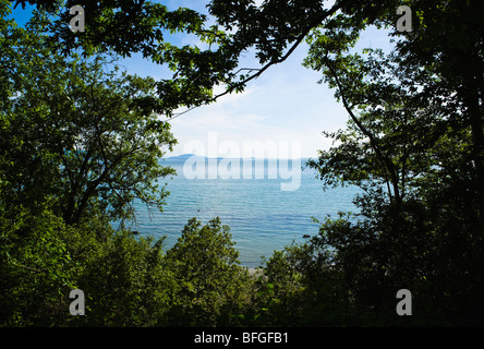 Una vista guardando attraverso un foro nella foresta fuori sullo Stretto di Georgia e il San Juan Islands Foto Stock