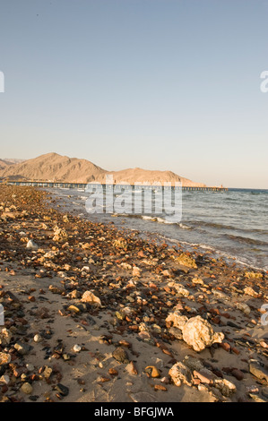 Taba Heights beach con montagne in back ground, Taba Heights, Mar Rosso, Egitto, Africa. Foto Stock