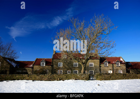 Neve invernale Bungalow villaggio a Goathland North Yorkshire Moors National Park England Regno Unito Foto Stock