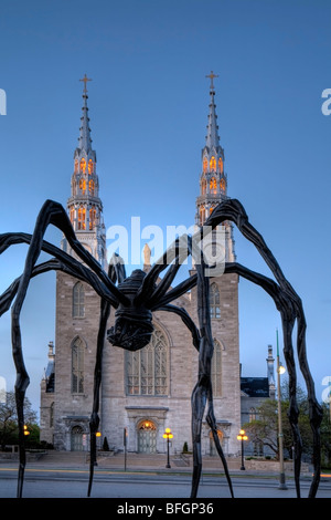 La cattedrale di Notre Dame dalla Galleria Nazionale di Arte Moderna, Ottawa, Ontario, Canada Foto Stock