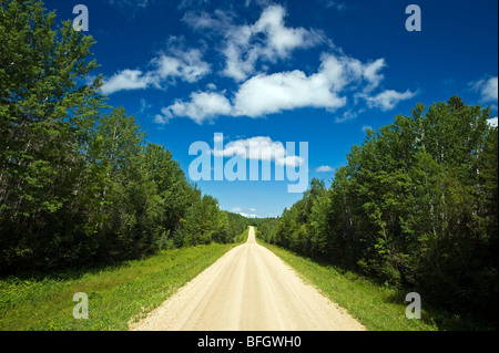 Strada di campagna attraverso la foresta boreale. Duck montagna Parco Provinciale, Manitoba, Canada Foto Stock