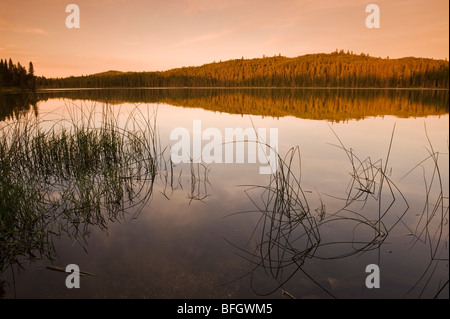 Lago di persico, anatra montagna Parco Provinciale, Manitoba, Canada Foto Stock