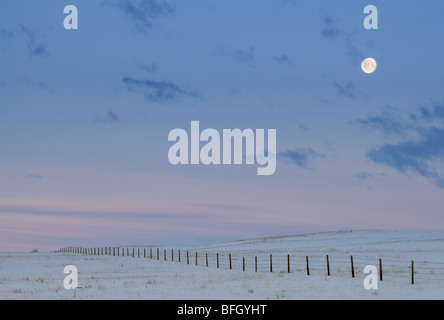 Luna e recinto vicino Foremeost. Lo stato di Alberta, Canada Foto Stock
