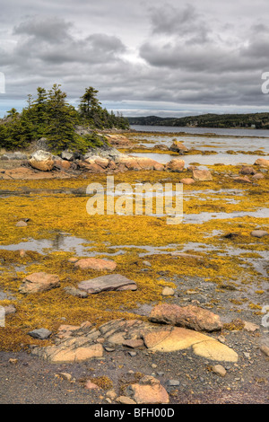 Gander Bay, Terranova, Canada Foto Stock