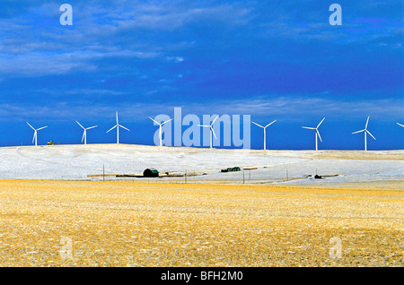 Le turbine eoliche, dei rulli di estrazione Creek, Alberta, Canada Foto Stock