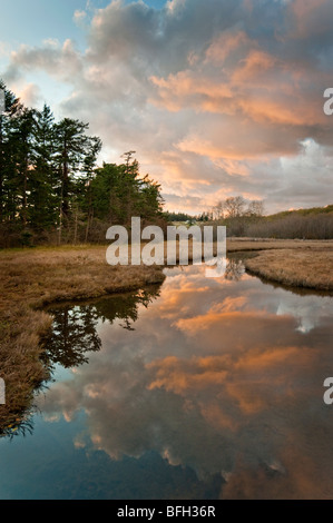 Si illumina al tramonto le nuvole sopra il Lummi Island, Washington slough e viene riflessa nell'acqua facendo un bellissimo effetto. Foto Stock