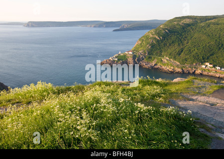 Vista dalla collina di segnale, National Historic Site. San Giovanni, Terranova, Canada Foto Stock