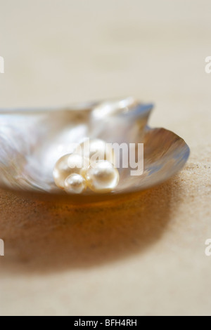 Quattro perle in aprire il guscio di ostrica sulla spiaggia, vicino fino Foto Stock