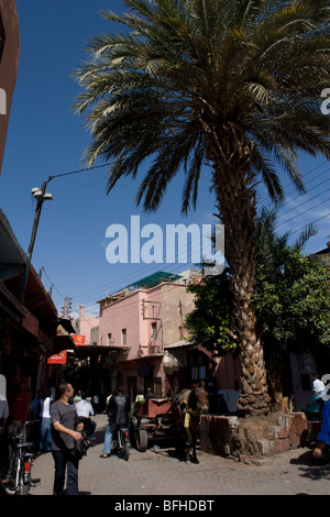 Un vicolo della medina, la parte vecchia della città di Marrakech, Marocco Foto Stock